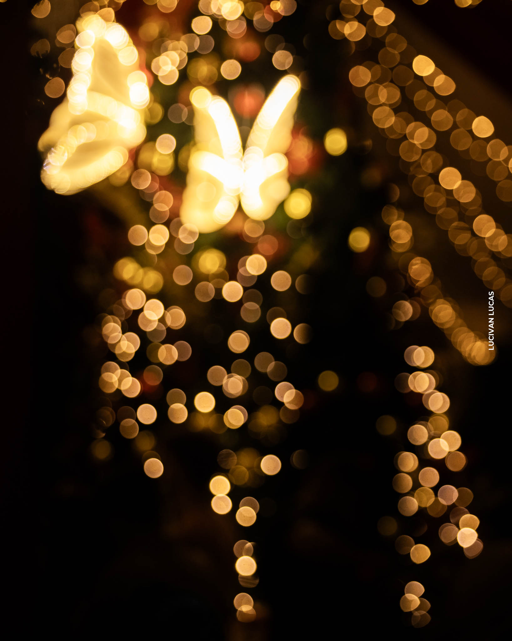 Desfiles Cênicos Natal no Alto